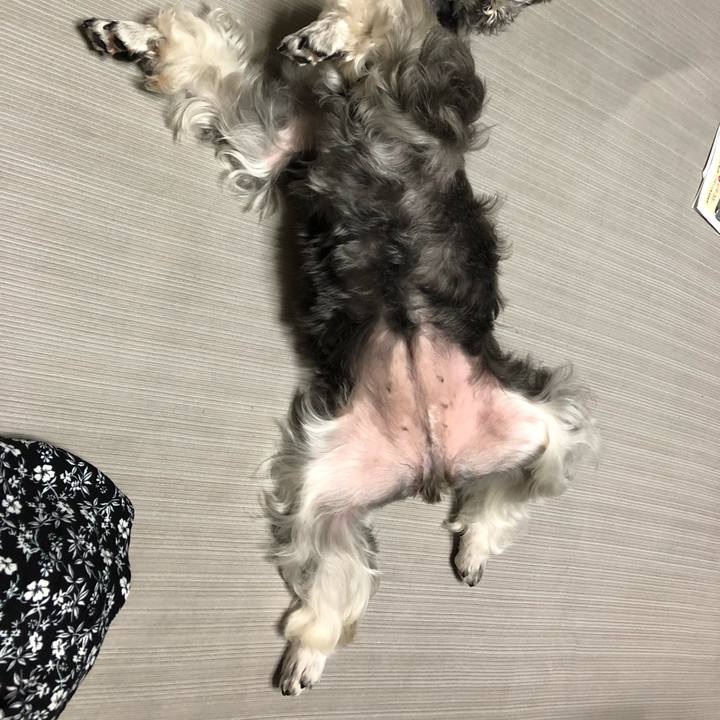 6764b63c d27a 41bf af32 a2feade71564 1568696274839