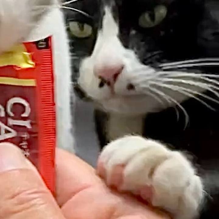 6764db26 7cd0 42f1 8a8f c0c1c9f171a7 1741685495927