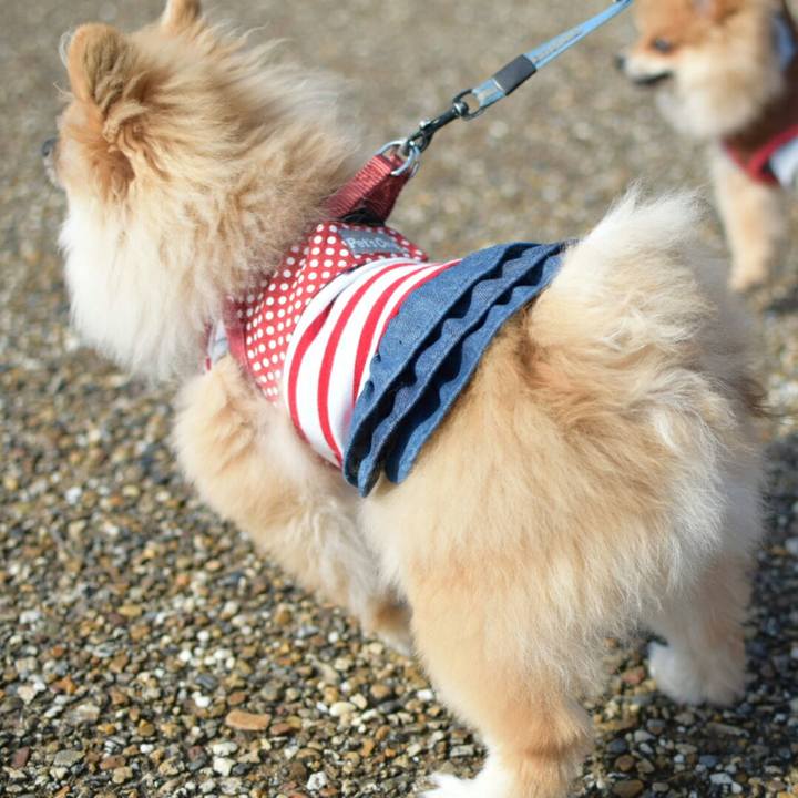 67654b9f 4fb0 4927 87ef c6db018074f0 1517684963642