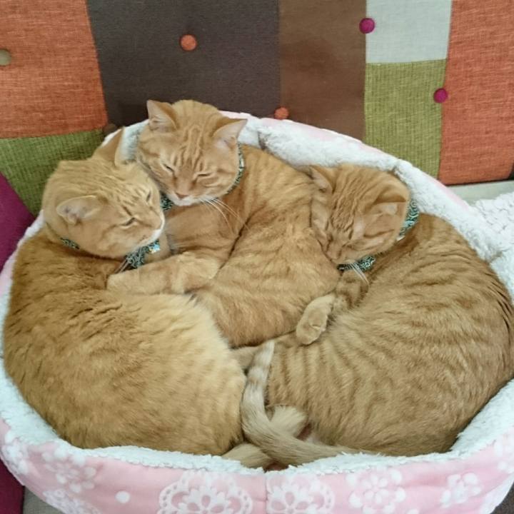 6766bf05 3344 4fbc 8a03 1aaab203104a 1571486303490