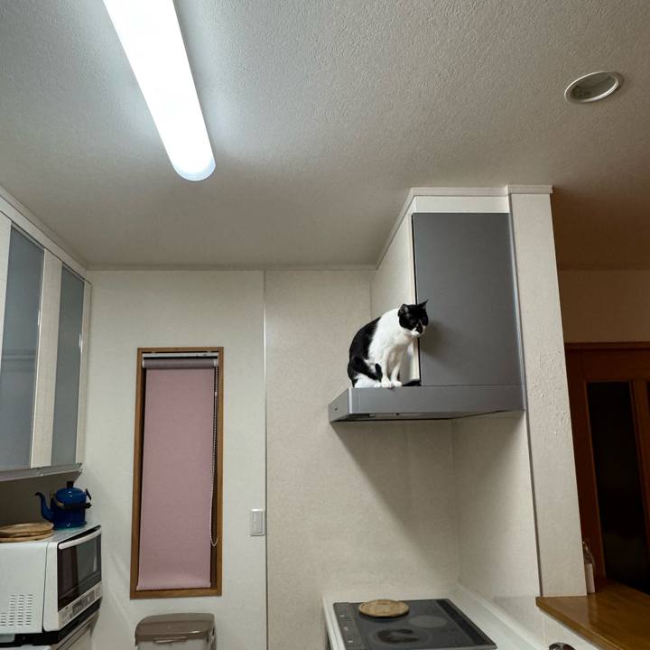 6766c510 e0ca 42cb 8df0 1a94f10ec13c 1772593112422