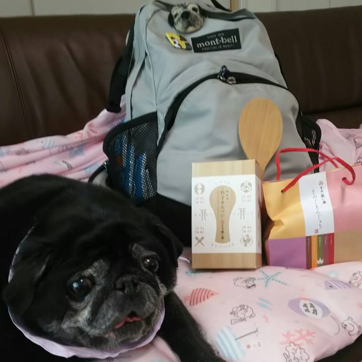 67670782 5d23 4a8e a136 5a7989bafdf3 1531801633152