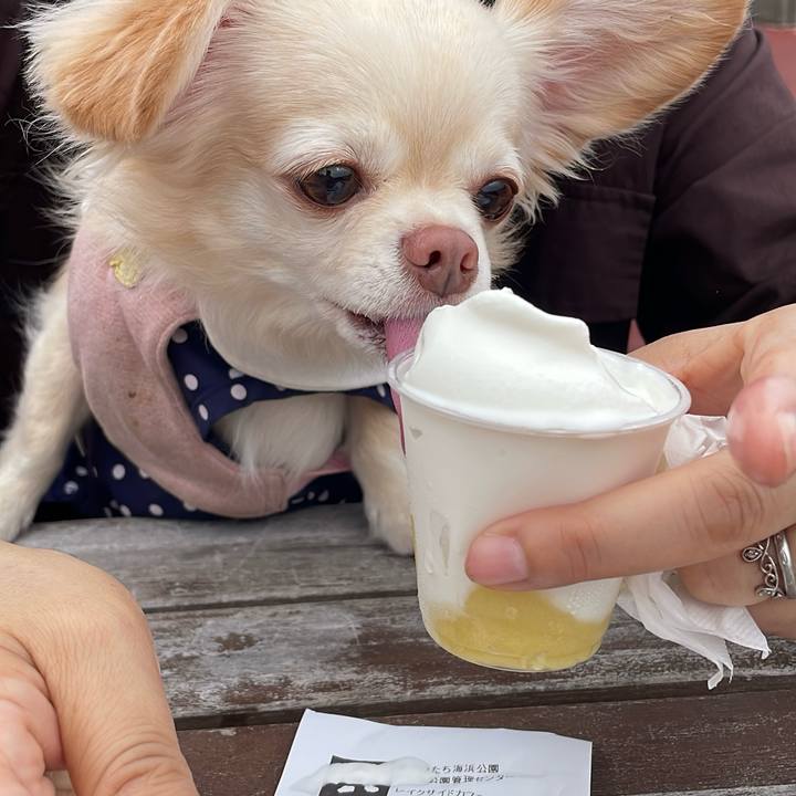 676744aa 40fe 433c a05b a0eb81cce043 1730026194714