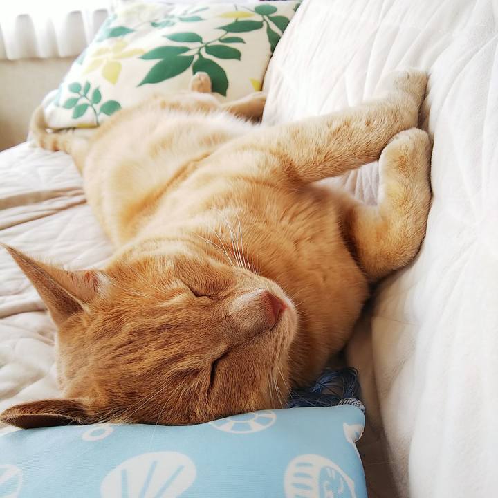 67675b91 55af 4008 acf2 1dc545aad203 1595728024722