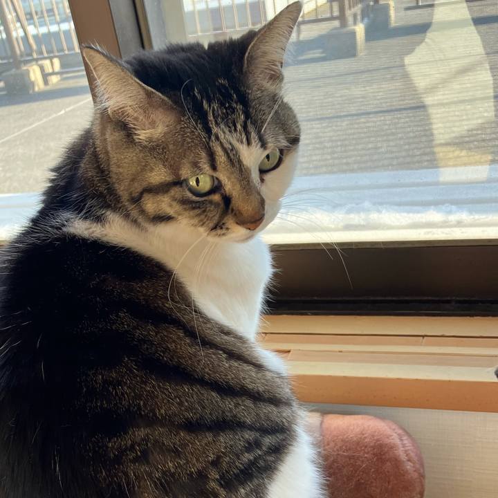 676778c2 07d5 476f 985b 18746cb258fd 1770690240678