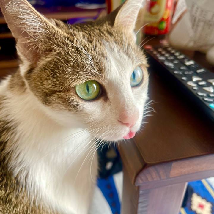 676780e9 244f 426f af7f c86b965f77ff 1637115416327