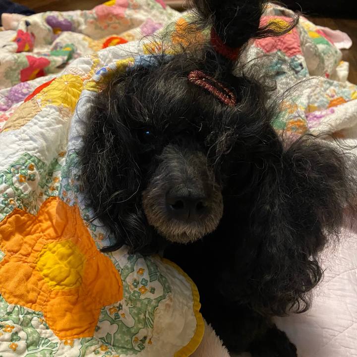 676788a8 247c 4579 961d 642065753495 1665093897867