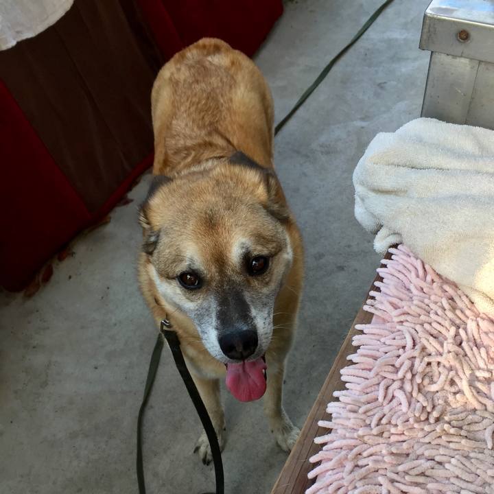 67678f6a 1677 4045 b0c5 b8ec2be2bc93 1562803759660