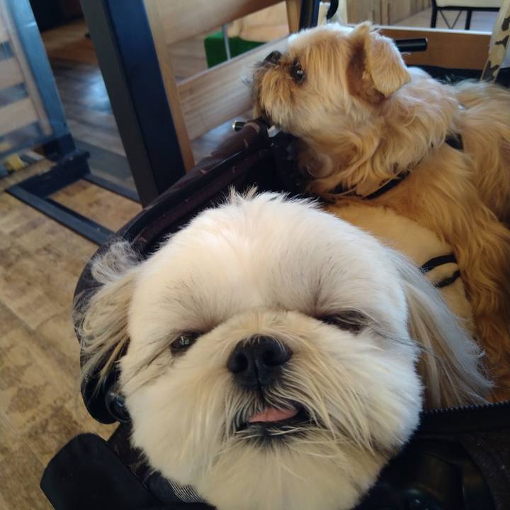 67679480 cc88 4d6d 8f9b 5482b04571f4 1656134137577