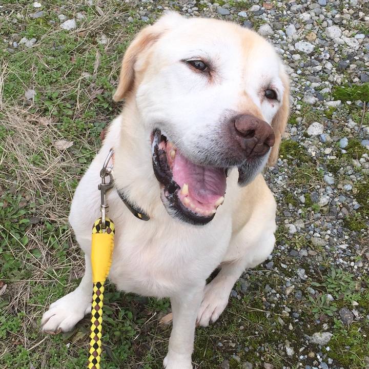 6767abcf 8f85 441f 9b2f 1698206f2f89 1580114021613