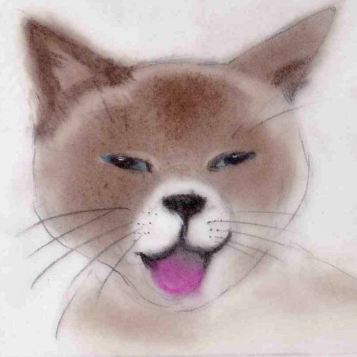 6767c52e aa9c 4b21 b7d7 0118a9e6d78f 1637291576324