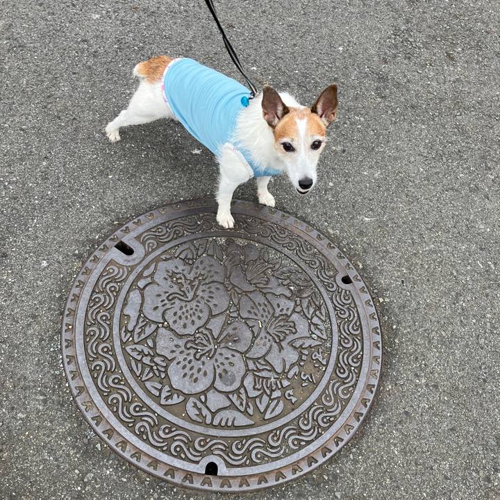 6767c774 34f9 44a0 a149 b572c767950e 1696375704462