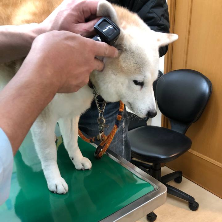 6767e98b 3b32 4ad7 a7f8 ca757c573d0a 1608338591377