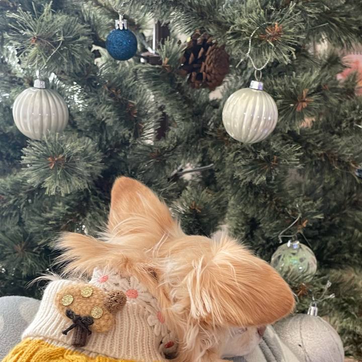 6768009d 6d41 46c9 afcf d70f1f1e9723 1700701634724