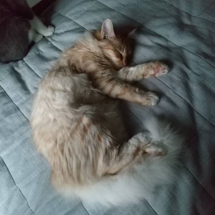 676832b5 3ab1 46ab a628 06da980b928f 1620222537650