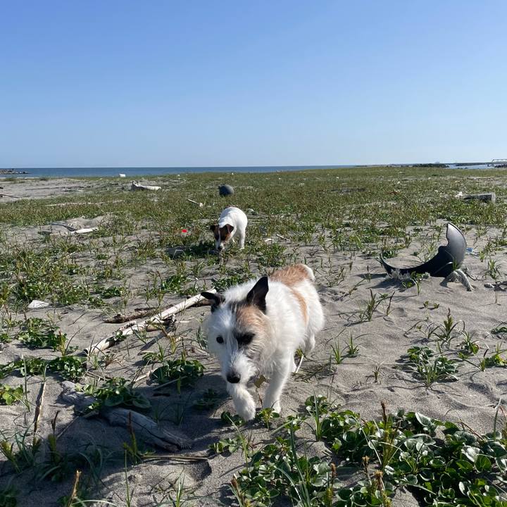 676839b9 406a 489a aac5 5be4f793ee86 1714694981496