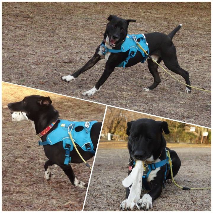 67683c22 1d9b 4b71 a660 8c1df5c91cc6 1612656175504