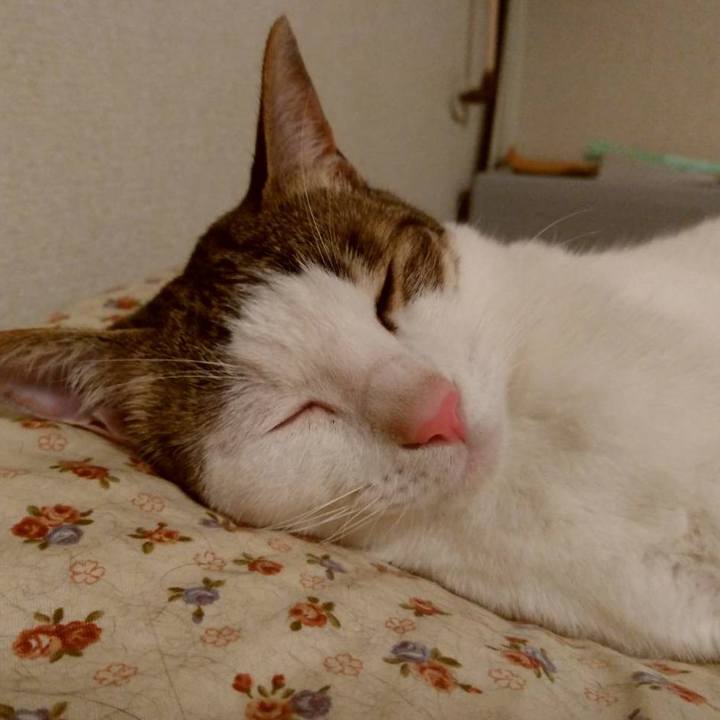 67686648 d6d4 4caa bcda 7e737e098d12 1688127419784