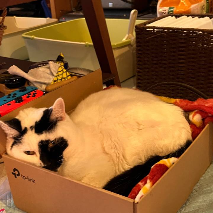 6768750c 7b6d 49d5 8953 30e98cedd968 1764255112279