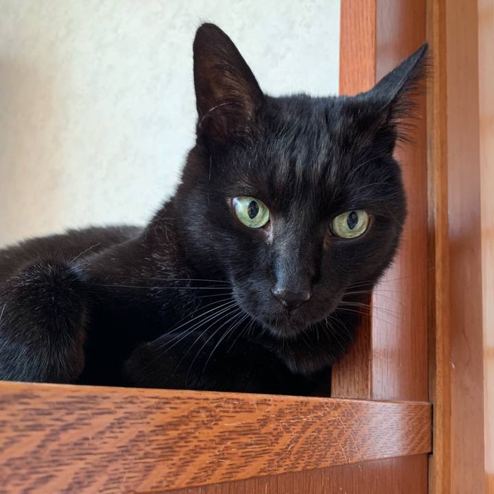 676878e3 f2b6 4c9d ba2e 67c750c867fa 1556153833928