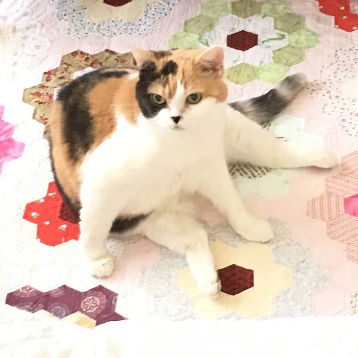 6768d8b6 fd91 46cf 8d4c 2faeb8fea768 1551974437968