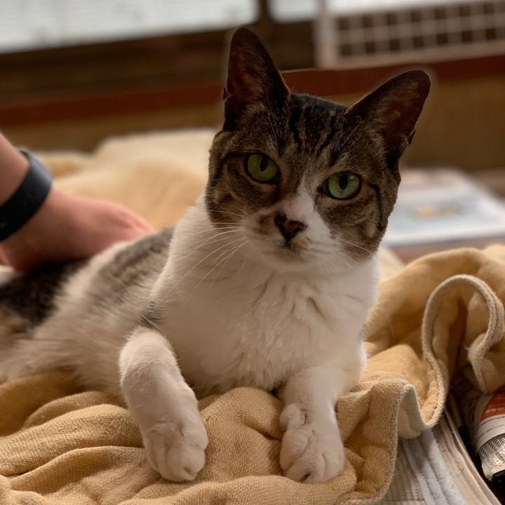 67695d93 5e2f 446c a073 c7491088fb8e 1595291489343