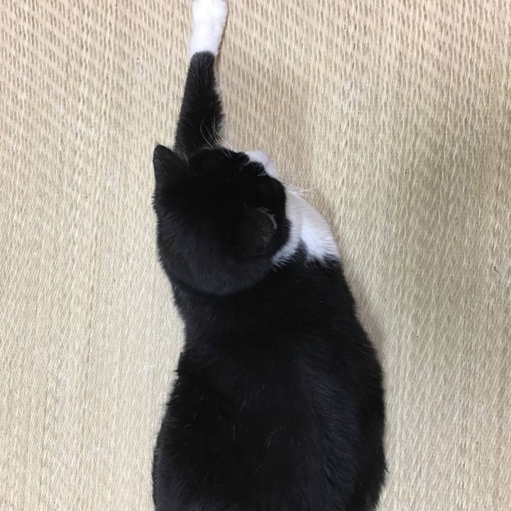 676979c8 9858 4cad 9648 5ac520c62671 1510619864954