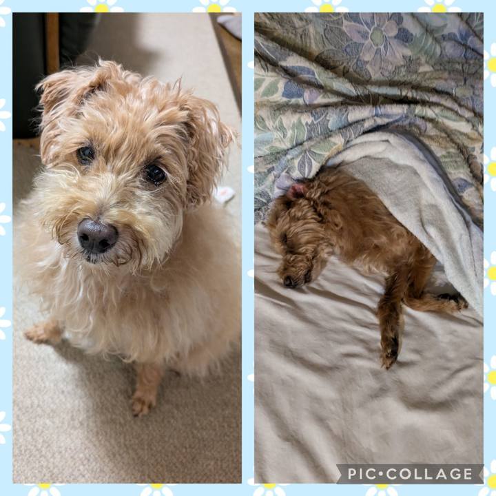 67698640 a81a 4bbd 954c 4ed4d85a08f9 1724503481722