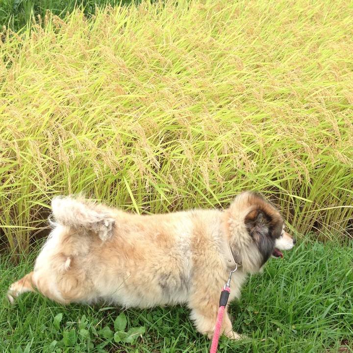 6769a896 16dc 4096 8b7b 6242fcfa4ac9 1575507443838