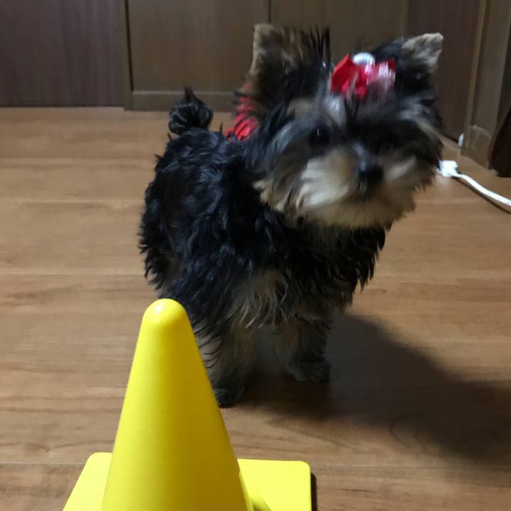 6769cb21 6cb1 4121 8a59 0f178291a78a 1615896430904