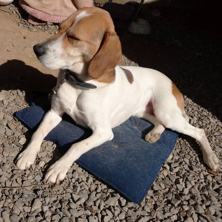 676a1dc3 db66 4b8e 910e f552a2cd4d61 1615439743563