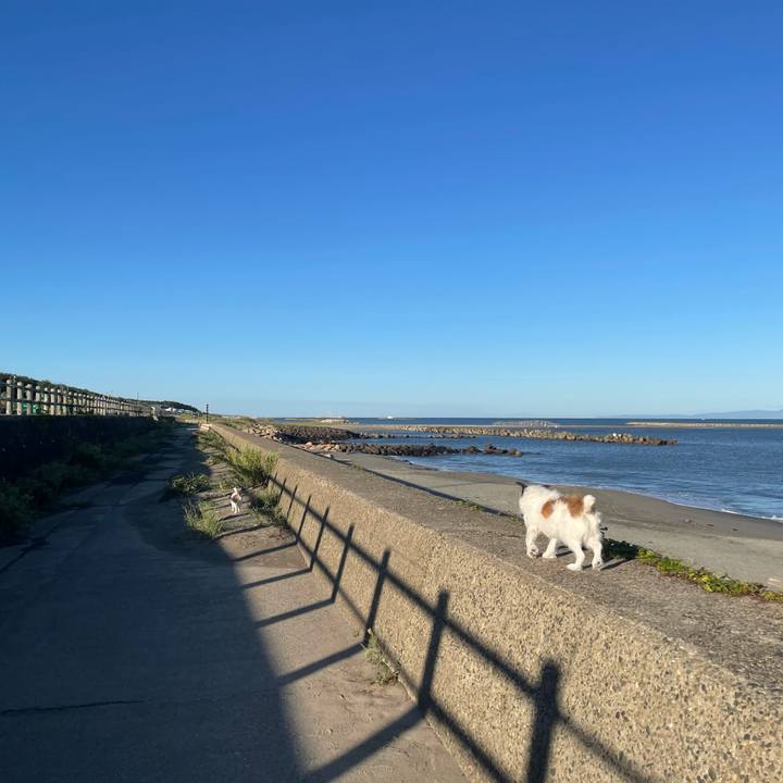 676a5b7f 3291 43f9 bcda 4db518ed9347 1727132830882