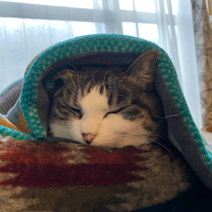 676a7b4d 662f 40dc a4ee 1177283288e0 1699828686755