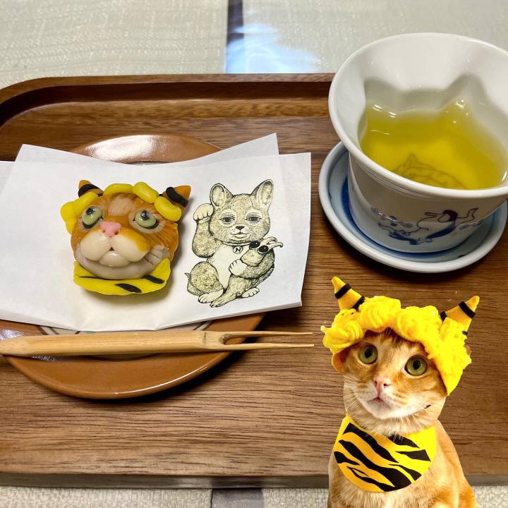 676a8134 4783 402b a2e8 1e030d9a8045 1638254832846