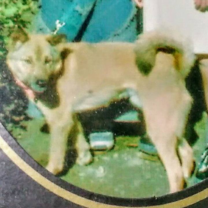 676aca00 8233 47d5 9445 36542118b249 1558260832730