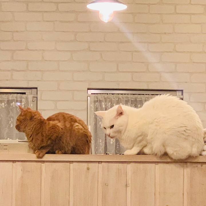 676ad121 61fe 4108 b1b5 62b1c5af37f9 1700784612965