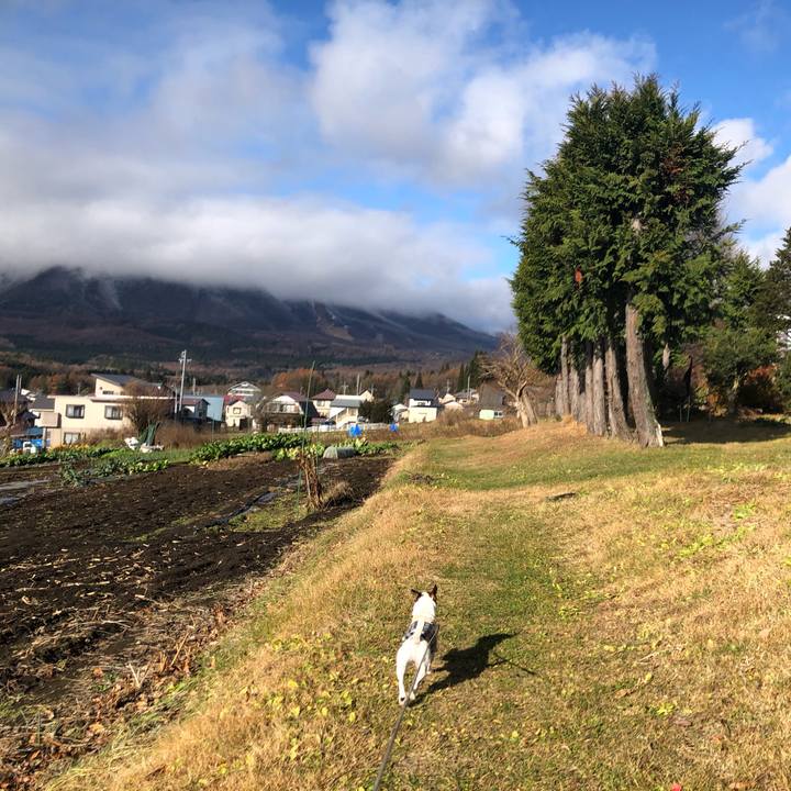 676ae315 7085 40a3 affb 0a4bc47aded2 1574766671030