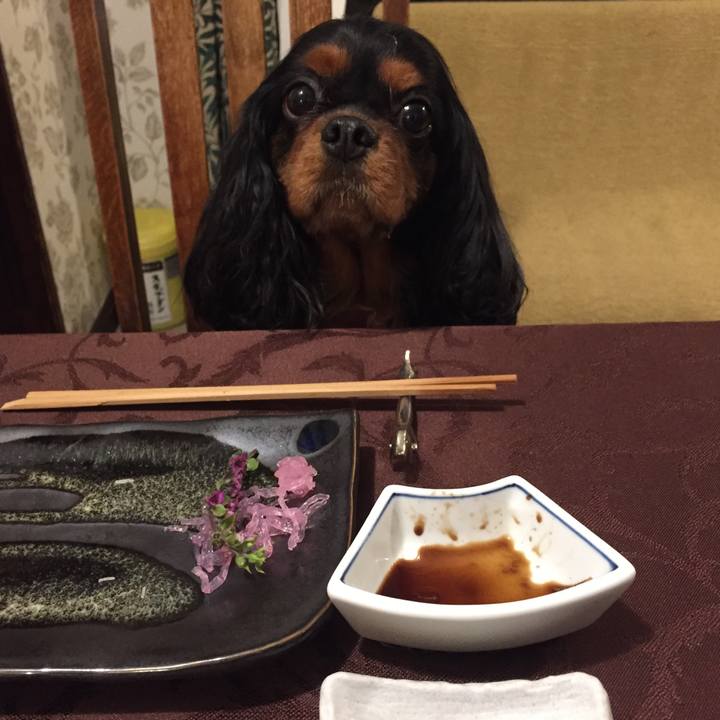 676ae48c 3970 4096 b6f4 c639be89a5b7 1513875714191