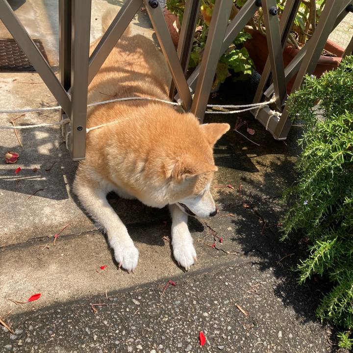 676ae74e 8568 432d 84ff dd9eb8bc19c1 1624437914115