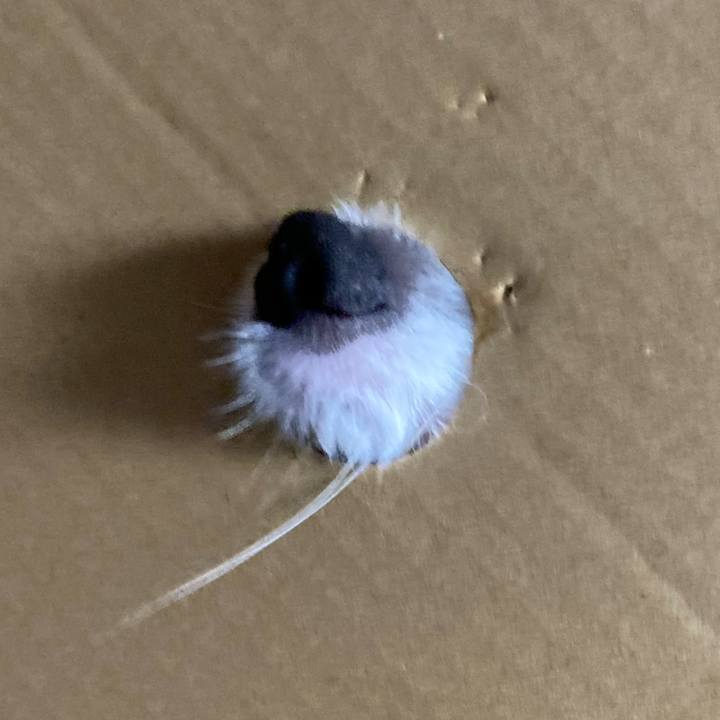 676aeb50 5305 4938 b90e 2d0523f0750c 1658044285170