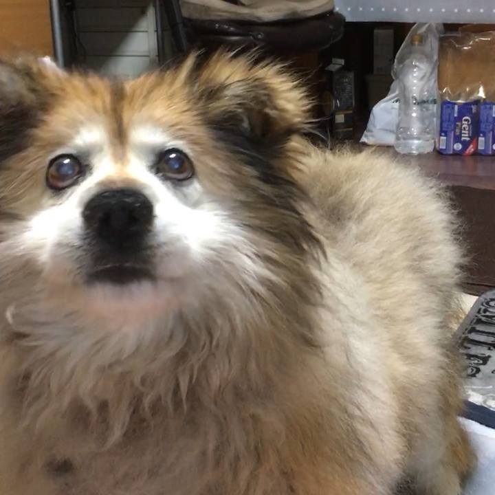 676b02ae b5bd 4776 81bb 3d24020177de 1553295886635