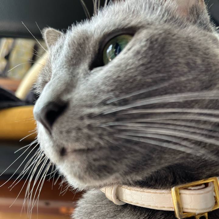 676b14b4 121c 4899 ae70 734472f84410 1680933721525