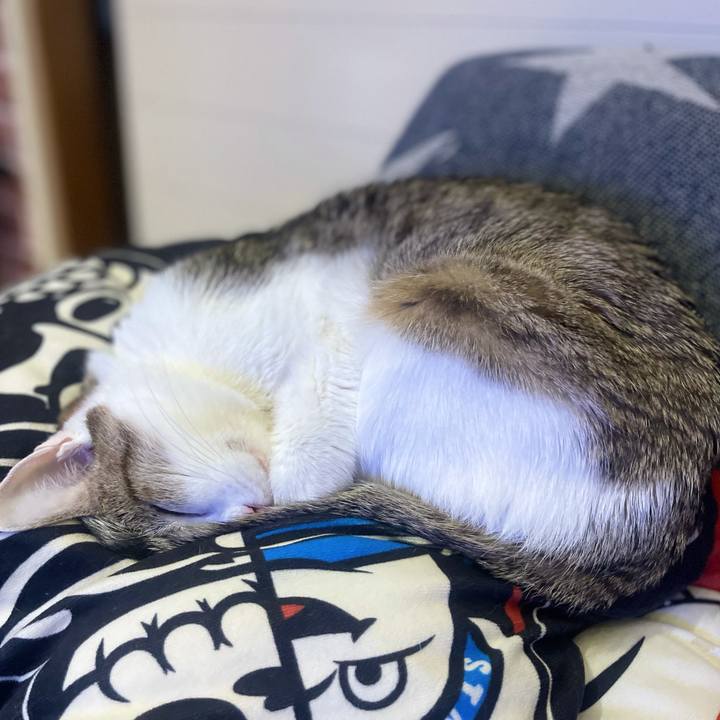 676b23fd 6430 4150 a214 27fbc76aed97 1636544941219