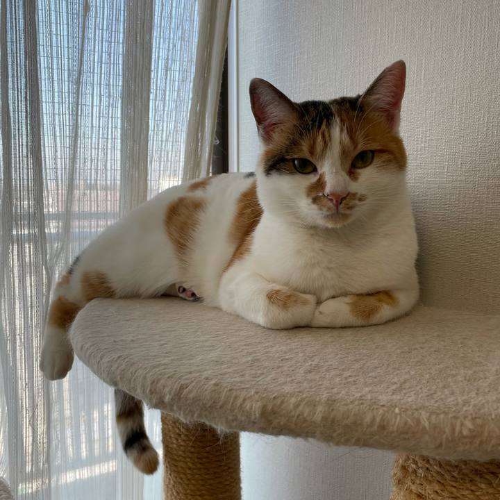 676b4947 66a7 47cc 98d0 60de04db4f82 1606734870767