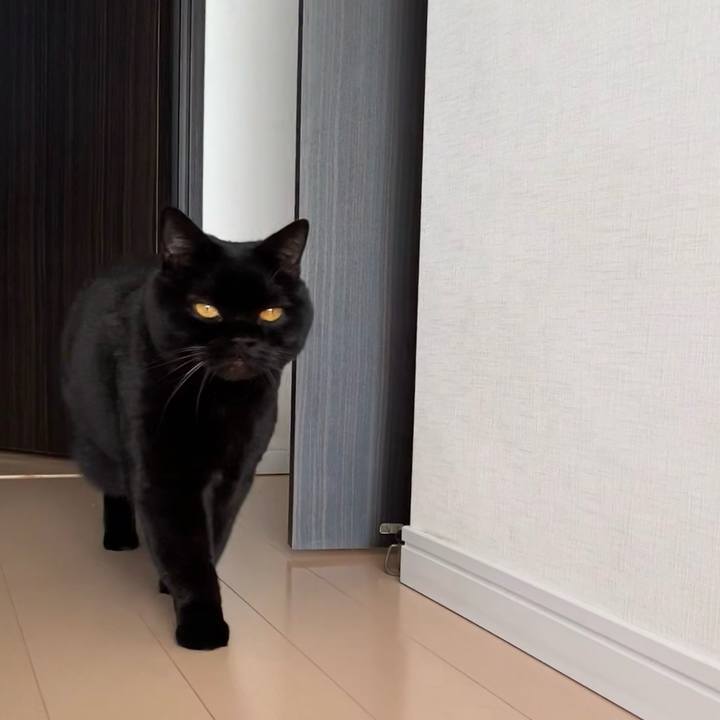 676b5dbf fd01 436a 8473 bb6d1d32ebb3 1768827490359