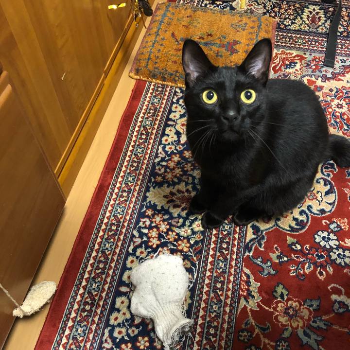 676b6246 1deb 4b76 b652 5fb4e2b2ad90 1522837027120