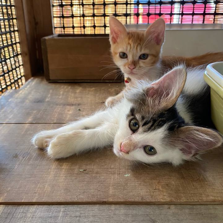 676b65fc 645f 46cc 9866 ed20606e722c 1630372178959