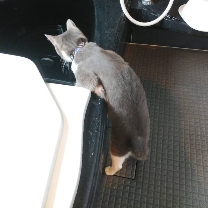 676b7ba6 2b52 4b97 90b2 5b735d5e8e96 1595459387078