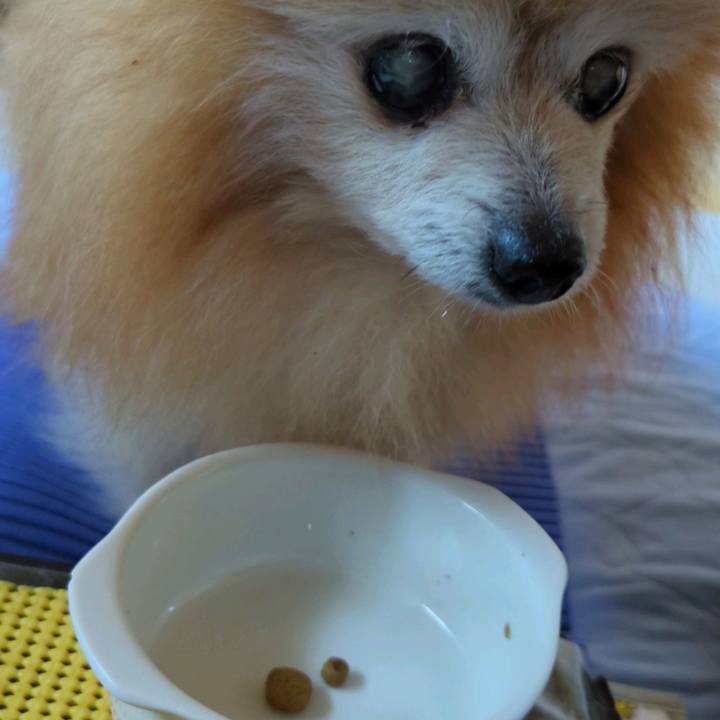 676b881b 7232 445f 81c0 d7c7aecaf904 1721683232488