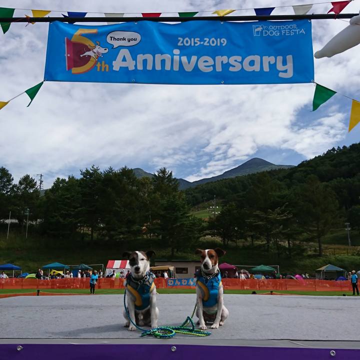 676ba212 7a95 42dc b870 3f70042bc24b 1569116221049